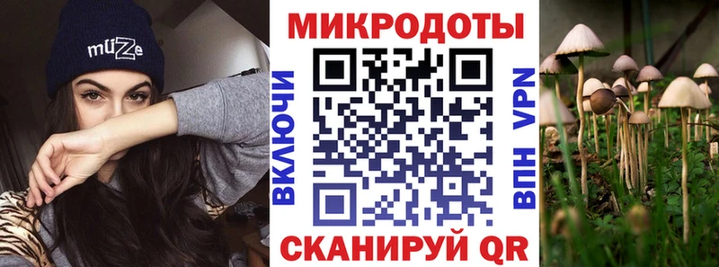 Галлюциногенные грибы ЛСД  Няндома 