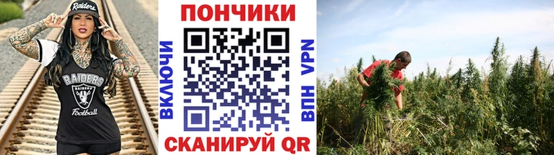 Бошки Шишки THC 21%  где продают наркотики  Няндома 